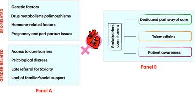 Women at heart: Introducing gender cardio-oncology